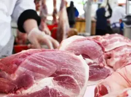 Зображення для оголошення Мясо свинины ошеек, биток, лопатка, задок, сало
