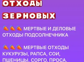 Зображення для оголошення Покупаем отходы зерновых (кукуруза)