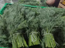 Зображення для оголошення Продам зелень: укроп