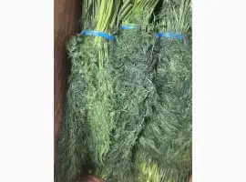 Зображення для оголошення Кріп Узбекистан