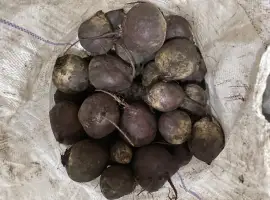 Зображення для оголошення Продам. Буряк водан