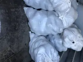 Зображення для оголошення Продам буряк