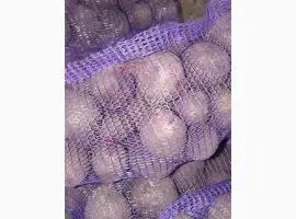 Зображення для оголошення Продам буряк 2 сорт