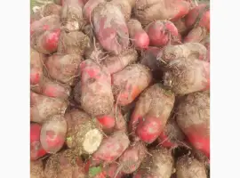 Зображення для оголошення Продам кормовий буряк 60 т