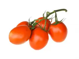 Зображення для оголошення Продам помідор