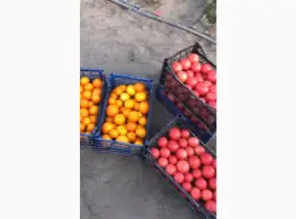 Зображення для оголошення Продам томати