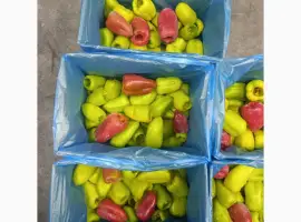 Зображення для оголошення Перець тріо Здоровий Продукт цілий свіжоморожений
