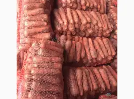 Зображення для оголошення Купую моркву на постійній основі