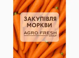 Зображення для оголошення Закуповуємо моркву! ТОВ "Агрофреш груп"