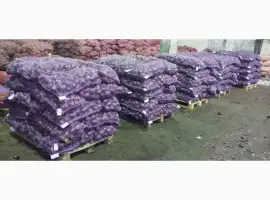 Зображення для оголошення Продам червону цибулю