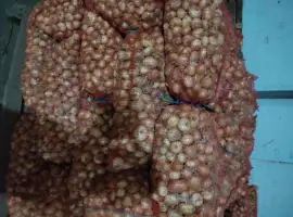 Зображення для оголошення Продам штутгарт на перо є обєм