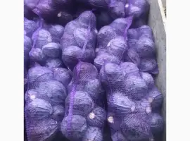 Зображення для оголошення Продам червоноголову капусту