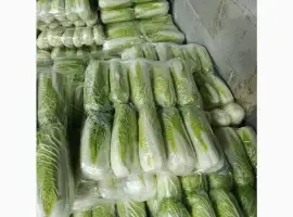 Зображення для оголошення Продам пекінську капусту