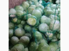 Зображення для оголошення Капуста білокачанна