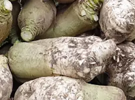 Зображення для оголошення Куузіку