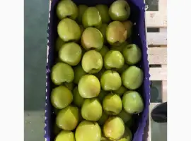 Зображення для оголошення Яблоки