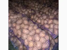 Зображення для оголошення Продається борщ набір по хорошим цінам