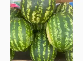Зображення для оголошення Продам кавун