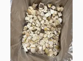 Зображення для оголошення Куплю морожений білий гриб