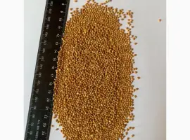 Зображення для оголошення Продам ПРОСО