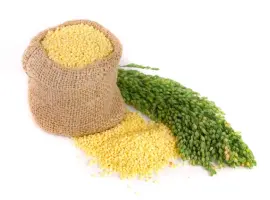 Зображення для оголошення Куплю просо (червоне