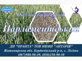 Зображення для оголошення Насіння вівса Парламнтський (БН