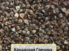 Зображення для оголошення Продам насіння гречихи сорту Арно 1-Р