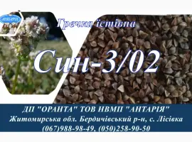 Зображення для оголошення Насіння гречки Син-3/02 (БН