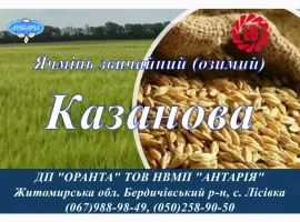 Зображення для оголошення Насіння озимого ячменю Казанова (СН