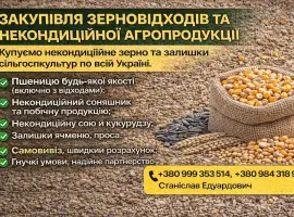 Зображення для оголошення Закупівля зерновідходів та некондиційної агропродукції