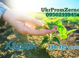 Зображення для оголошення Посевная соя на посів