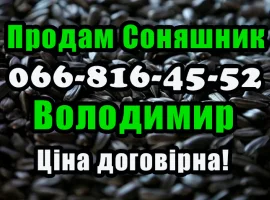 Зображення для оголошення Продам соняшник!На постійній основі