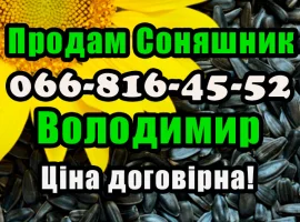 Зображення для оголошення Продаю соняшник у будь яких обсягах! Виробник/переробник