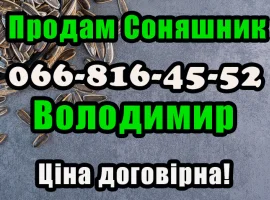 Зображення для оголошення Підприємство реалізує соняшникове насіння! Ціна договірна (від обсягу)