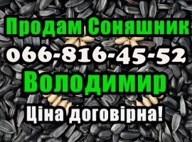 Зображення для оголошення Підприємство реалізує соняшник