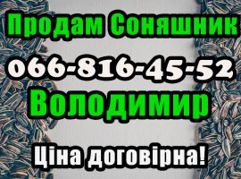 Зображення для оголошення Підприємство продає соняшник!!! Будь який обсяг
