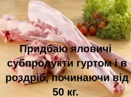 Зображення для оголошення Куплю яловичі субпродукти гуртом або від 50кг -сухожилля