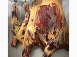 Зображення для оголошення Продам конину в полу тушах свежий забой под заказ