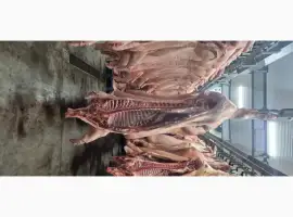 Зображення для оголошення Маєм на продаж напівтушу свинну
