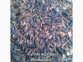 Зображення для оголошення Купим відходи соняшника ділові