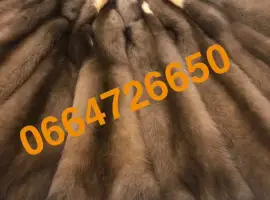 Зображення для оголошення Продам куницю вичинену тисячі штук лісова та камʼянка