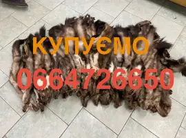 Зображення для оголошення Шкіри куниці