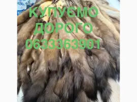 Зображення для оголошення Купуємо шкіри куниці бобра кролика зайця