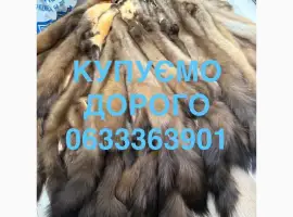 Зображення для оголошення Купуємо хутро куниці бобра кроля зайця видри