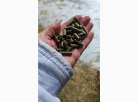 Зображення для оголошення Люцерна ( гранульована) 6 мм розмір