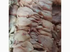 Зображення для оголошення Продам тушку бройлера
