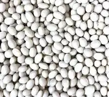 Зображення для оголошення Продаж насіння квасолі. Посівний матеріал квасолі