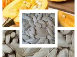 Зображення для оголошення Продам насіння гарбуза