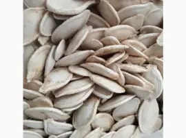 Зображення для оголошення Продам гарбузове насіння