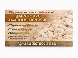 Зображення для оголошення Насіння гарбуза